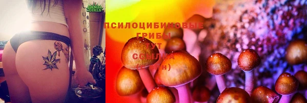 мяу мяу мука Белоозёрский