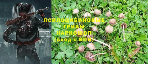 мяу мяу мука Белоозёрский