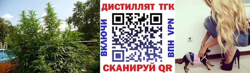 Дистиллят ТГК гашишное масло  маркетплейс наркотические препараты  Яблоновский 